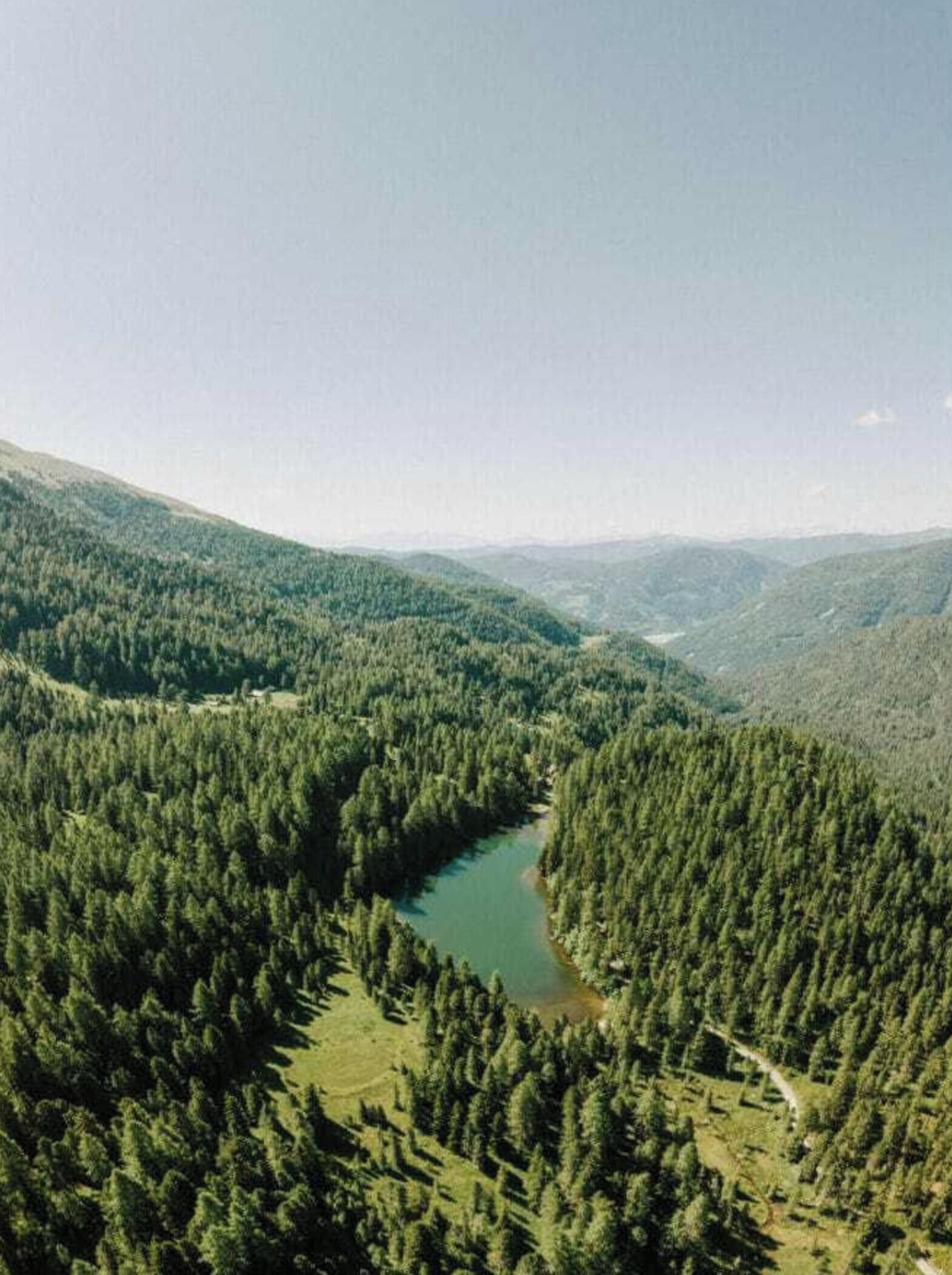 Ein Fluss schlängelt sich durch ein dicht bewaldetes Tal mit Hügeln im Hintergrund.
