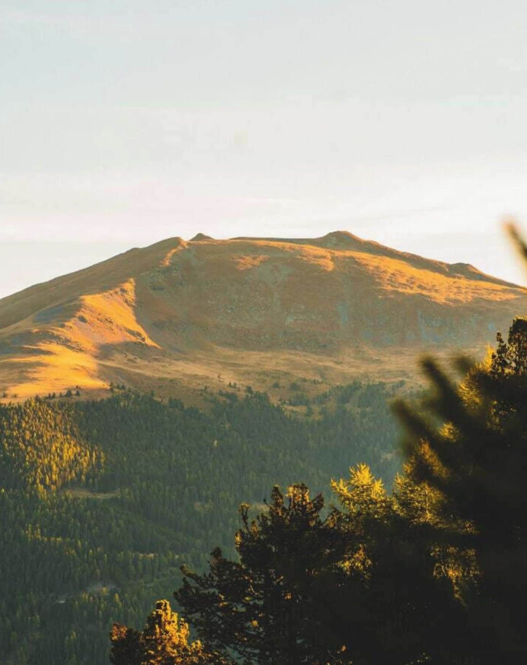 A mountain landscape with a forested valley.