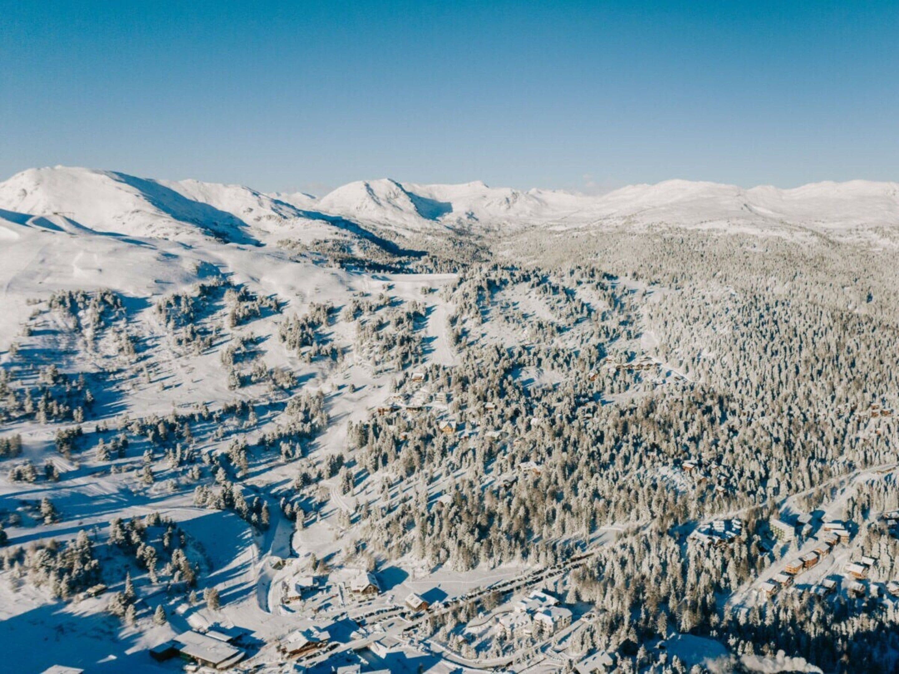 Una zona de muntanya plena de neu, amb una forest densa i edificis dispersos.