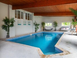 Una piscina interior con borde de azulejos, rodeada de plantas en macetas, techo de madera y zona de estar con sofá y sillones.