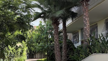 Un chemin bordé de palmiers et un bâtiment dont l’un des murs est peint en bleu.