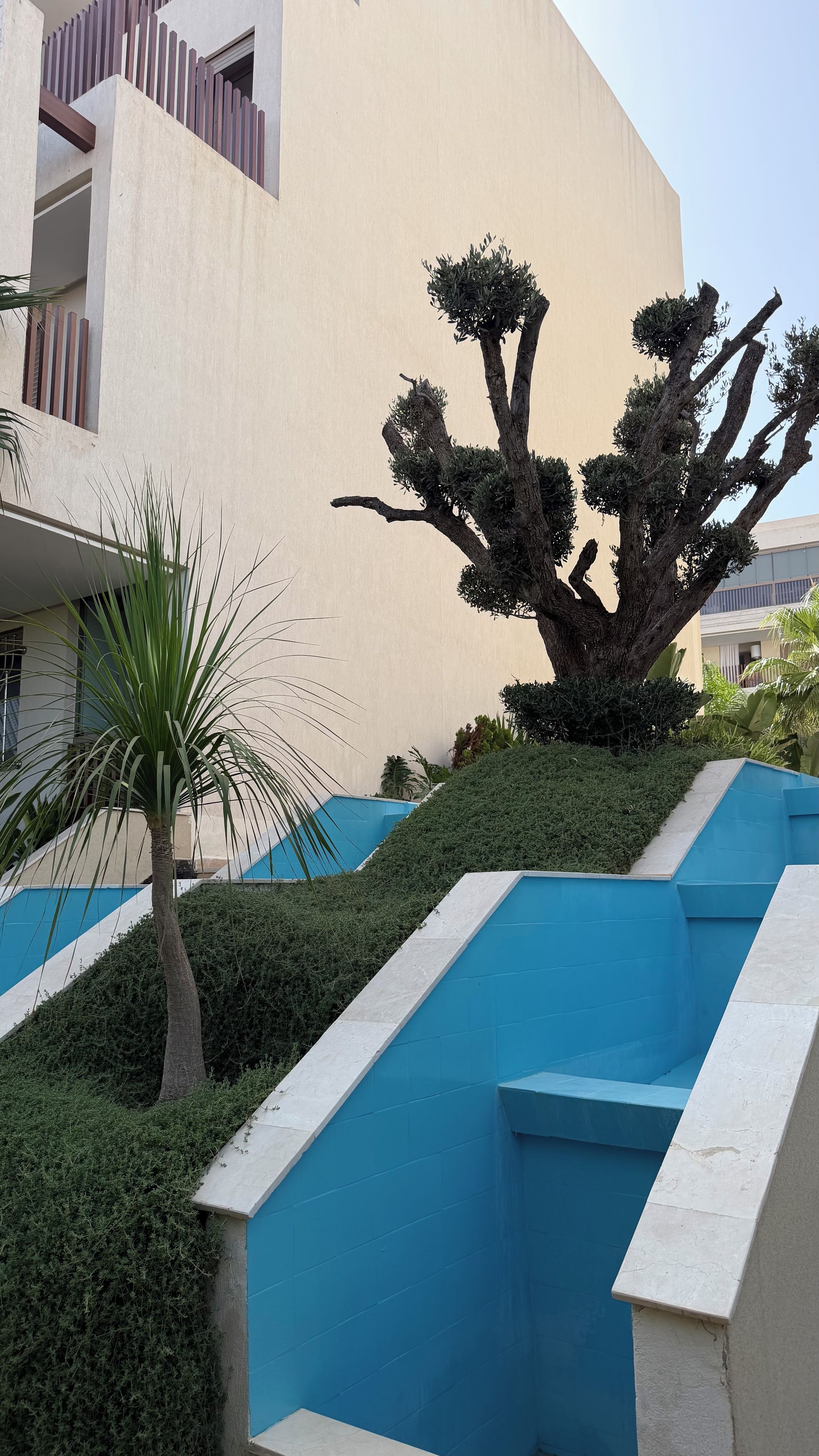 Un edificio moderno con un diseño arquitectónico singular, que presenta una escalera con paredes azules y un árbol en primer plano.