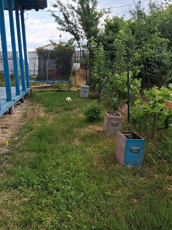 A grassy outdoor area with a blue structure, possibly a deck or platform, and a netted enclosure.