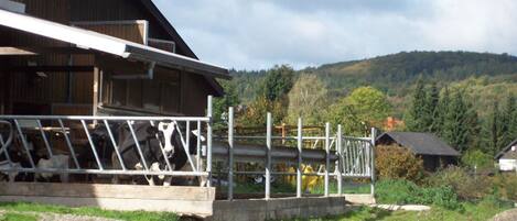 Um celeiro rústico com cerca de metal e plataforma de madeira, rodeado por uma paisagem rural com colinas e árvores.