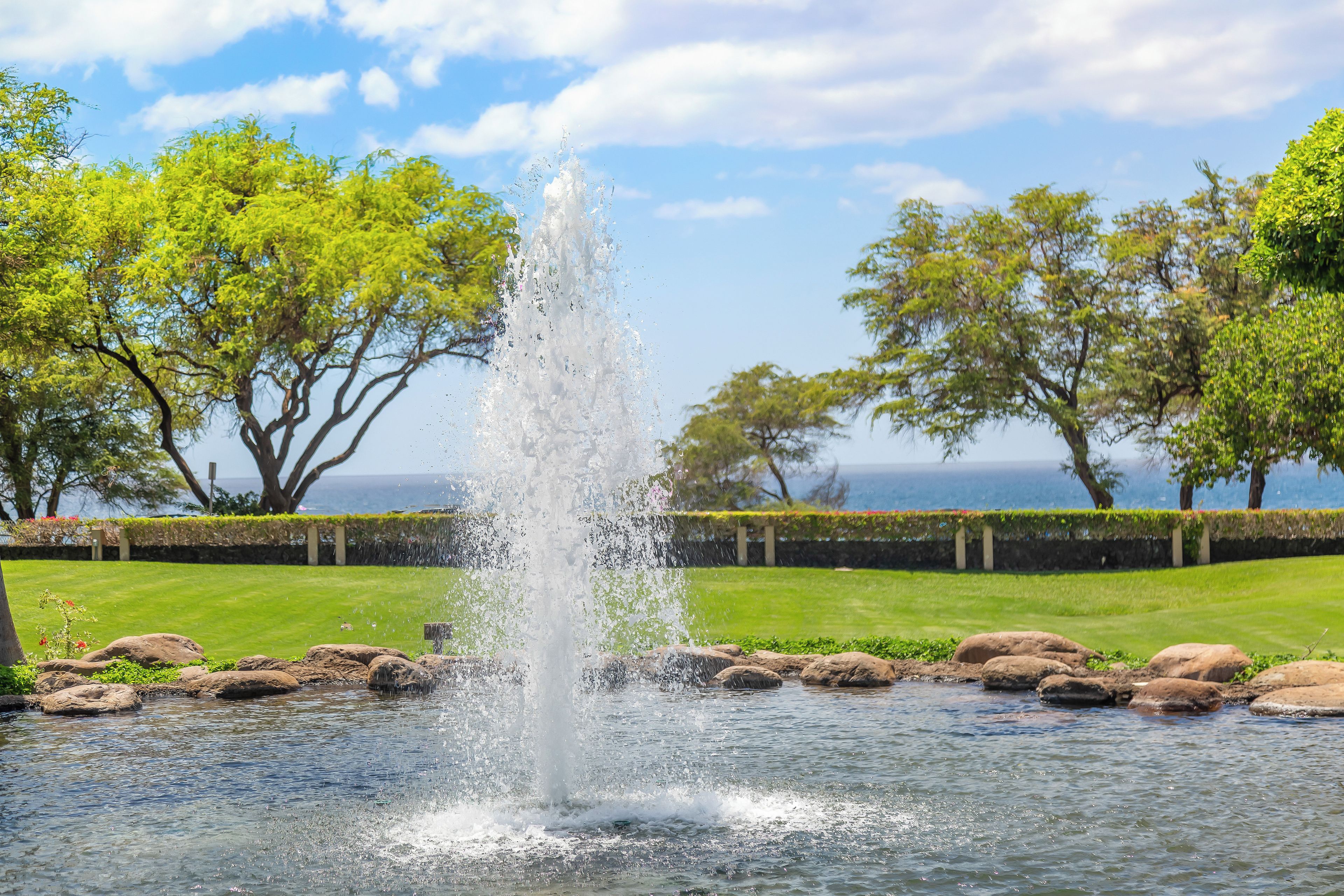 A fountain with water jets in a landscaped area with trees and a view of the sea.