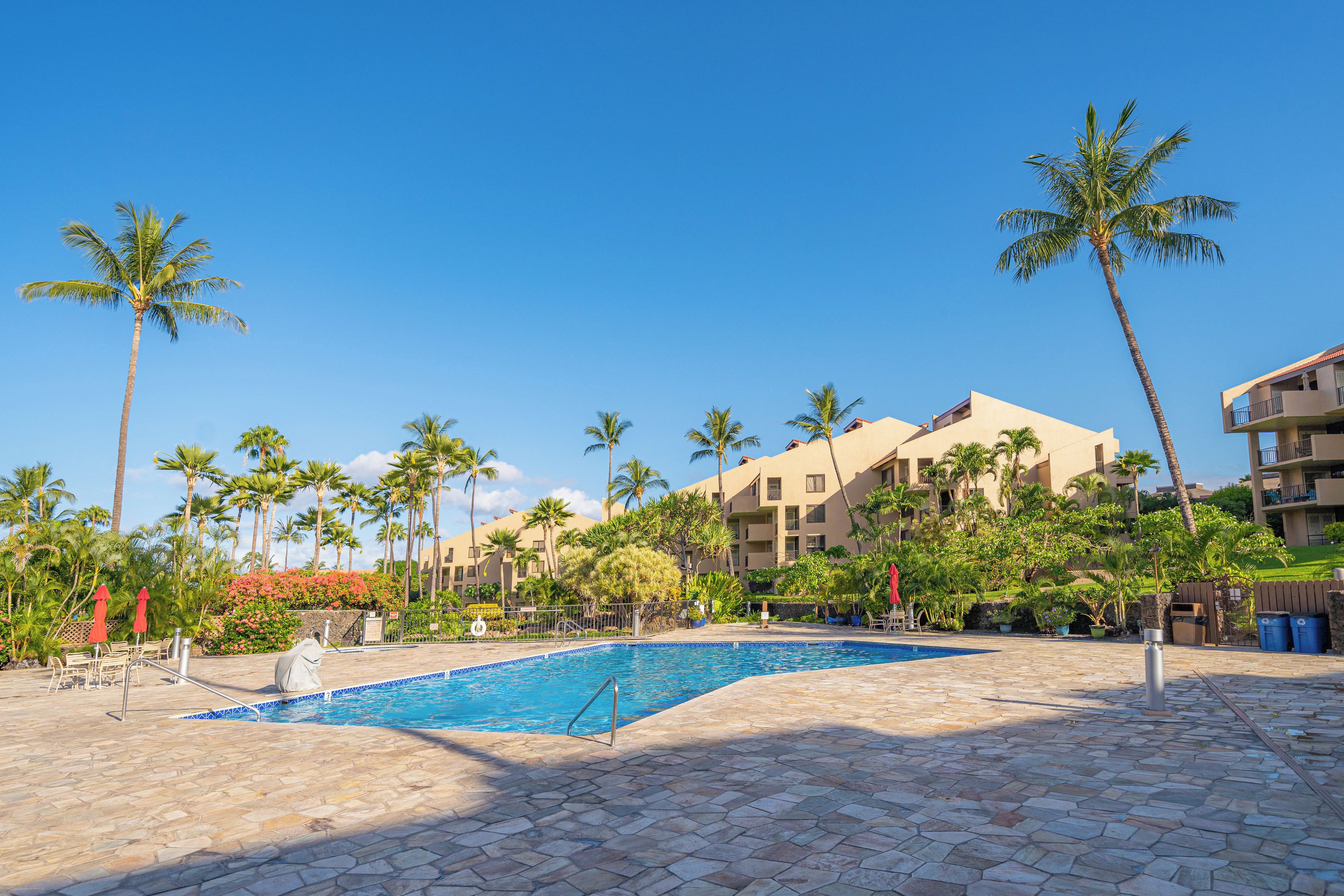 A resort pool area with a clear blue pool, palm trees, and a building with balconies.