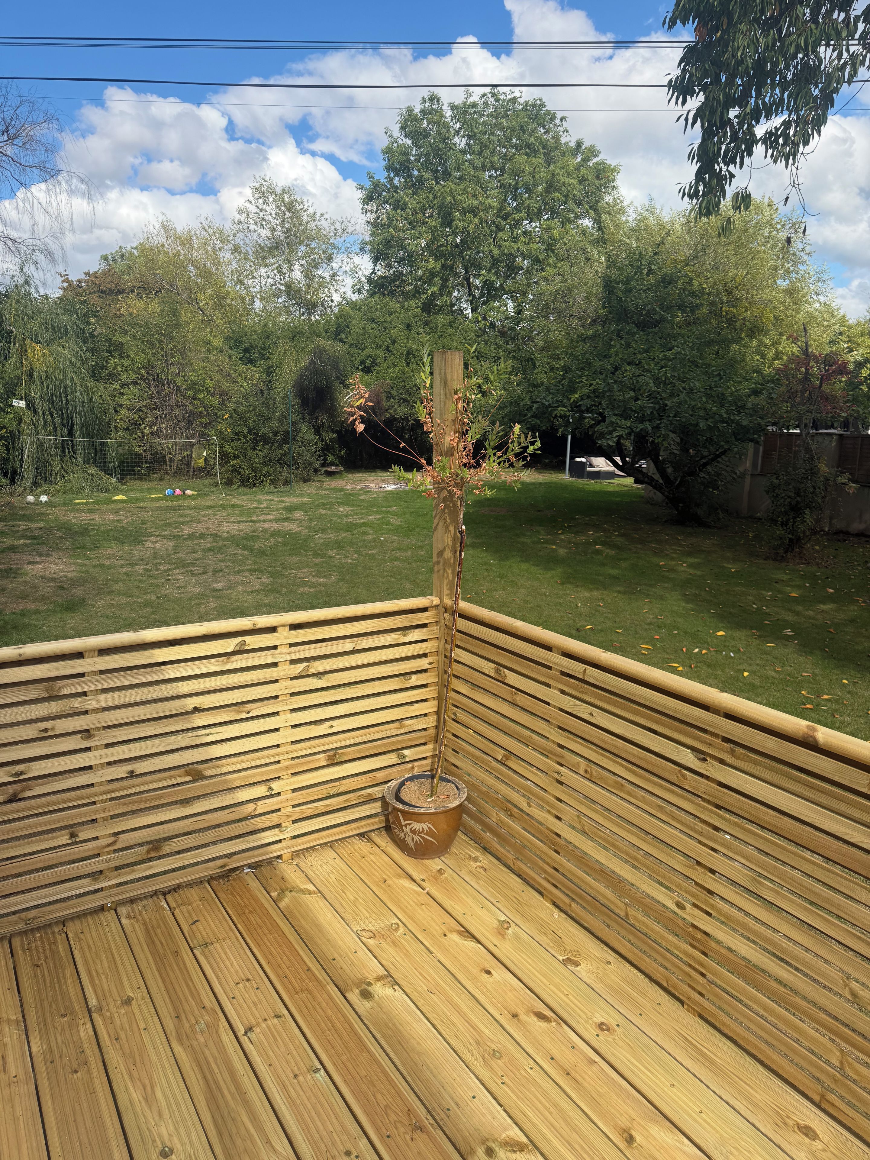 A wooden deck with a potted plant in the center.