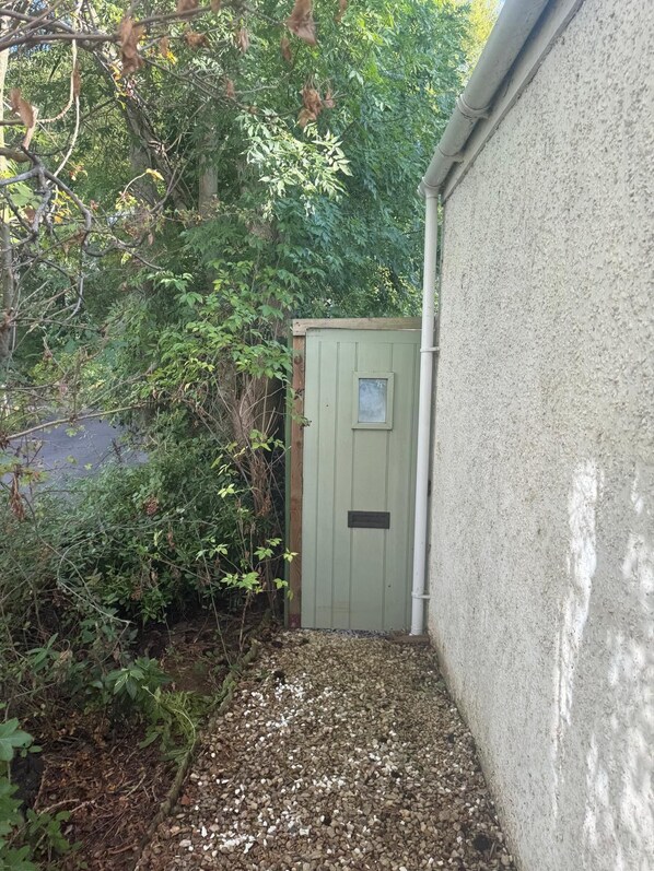 A narrow pathway leading to a green door with a small window, surrounded by dense foliage and a concrete wall.