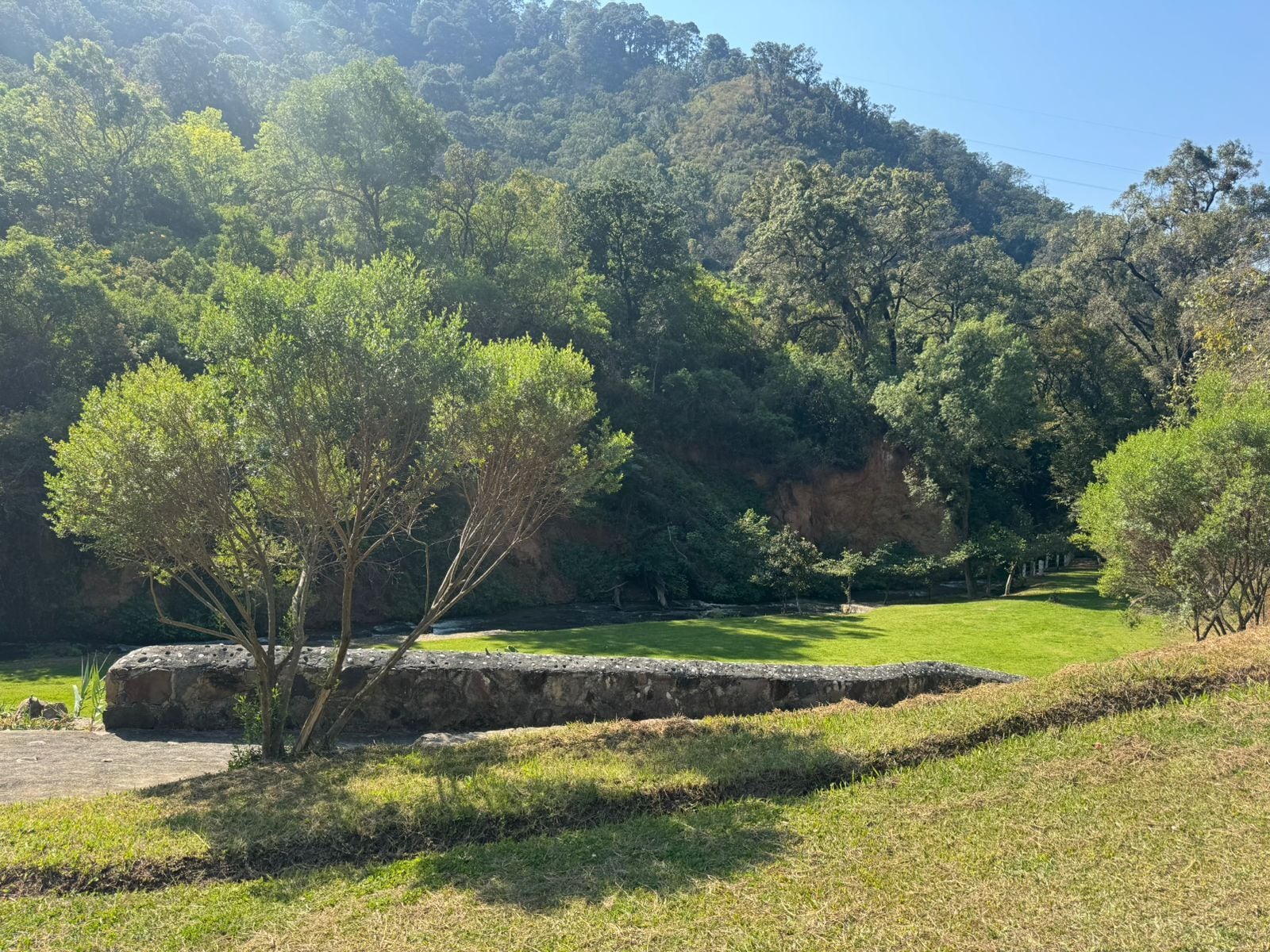 Un paisaje natural con un área cubierta de pasto, árboles y un muro de piedra.