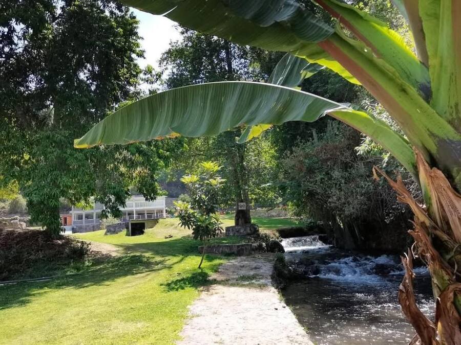 Un jardín con un arroyo, un sendero y un edificio al fondo.