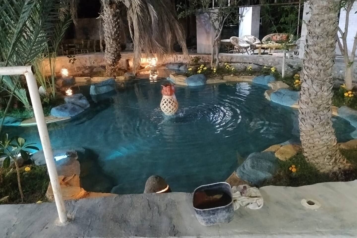 Una piscina con borde de piedra, rodeada de palmeras y una estructura con techo de paja.
