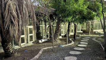 A garden with a gravel path, palm trees, and a building with large windows.