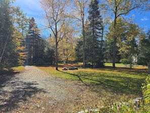 A gravel path leading through a wooded area with trees and grass.