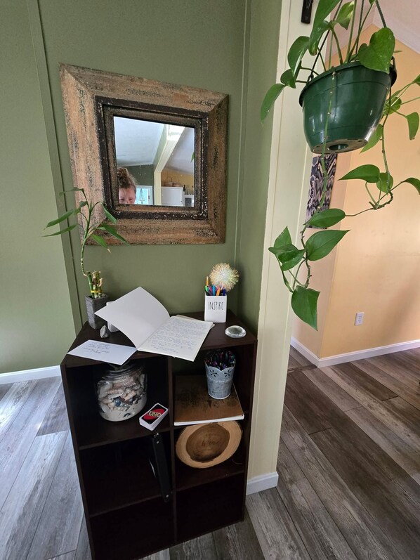 A room with a mirror, a desk with a notebook, a plant, and a hanging planter.