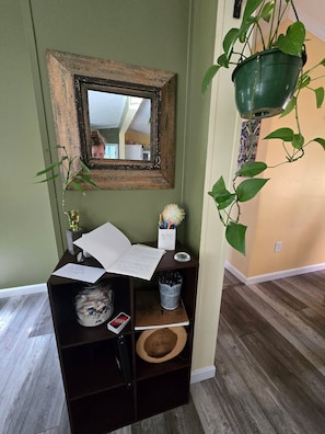 A room with a mirror, a desk with a notebook, a plant, and a hanging planter.