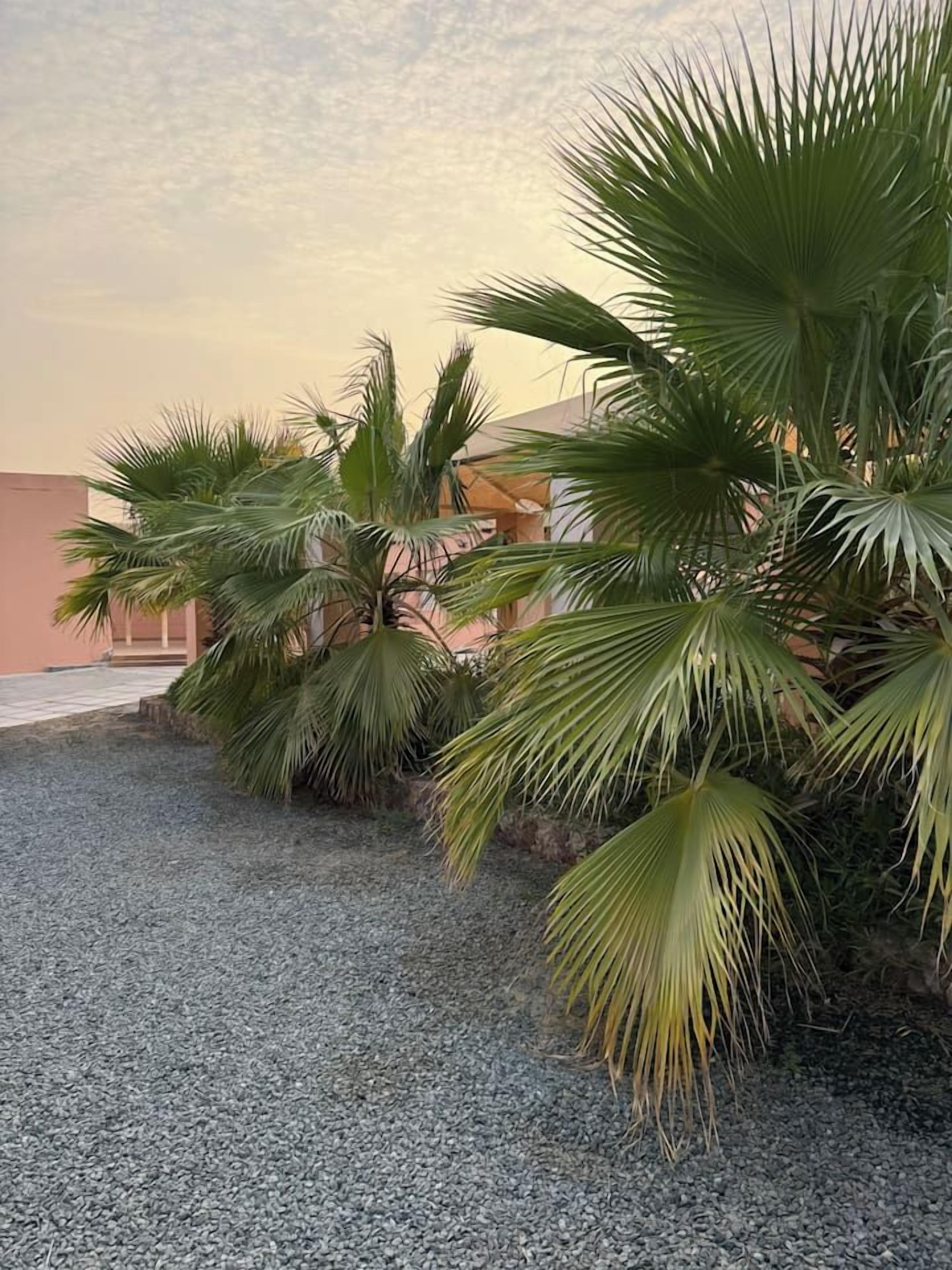 Jardines del alojamiento