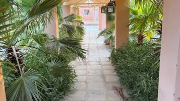 A covered pathway lined with palm trees and plants, leading to a building with a pink facade.