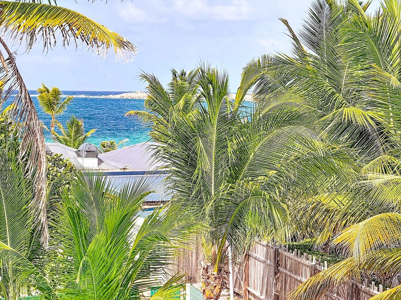 Une vue sur la côte, avec des palmiers et une mer bleue et limpide.