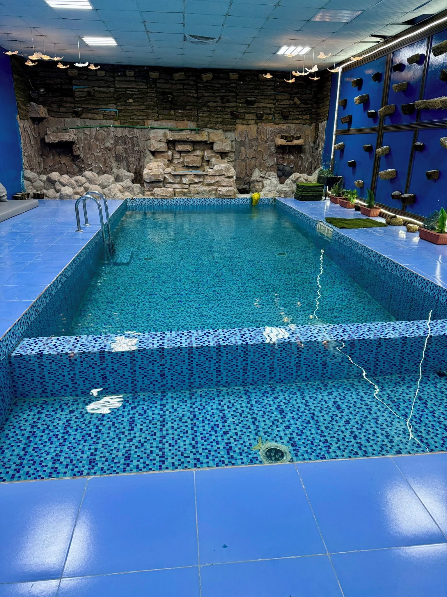 Une piscine intérieure rectangulaire, revêtue de carreaux de mosaïque bleus, avec un mur en pierre en arrière-plan et des plantes en pot.