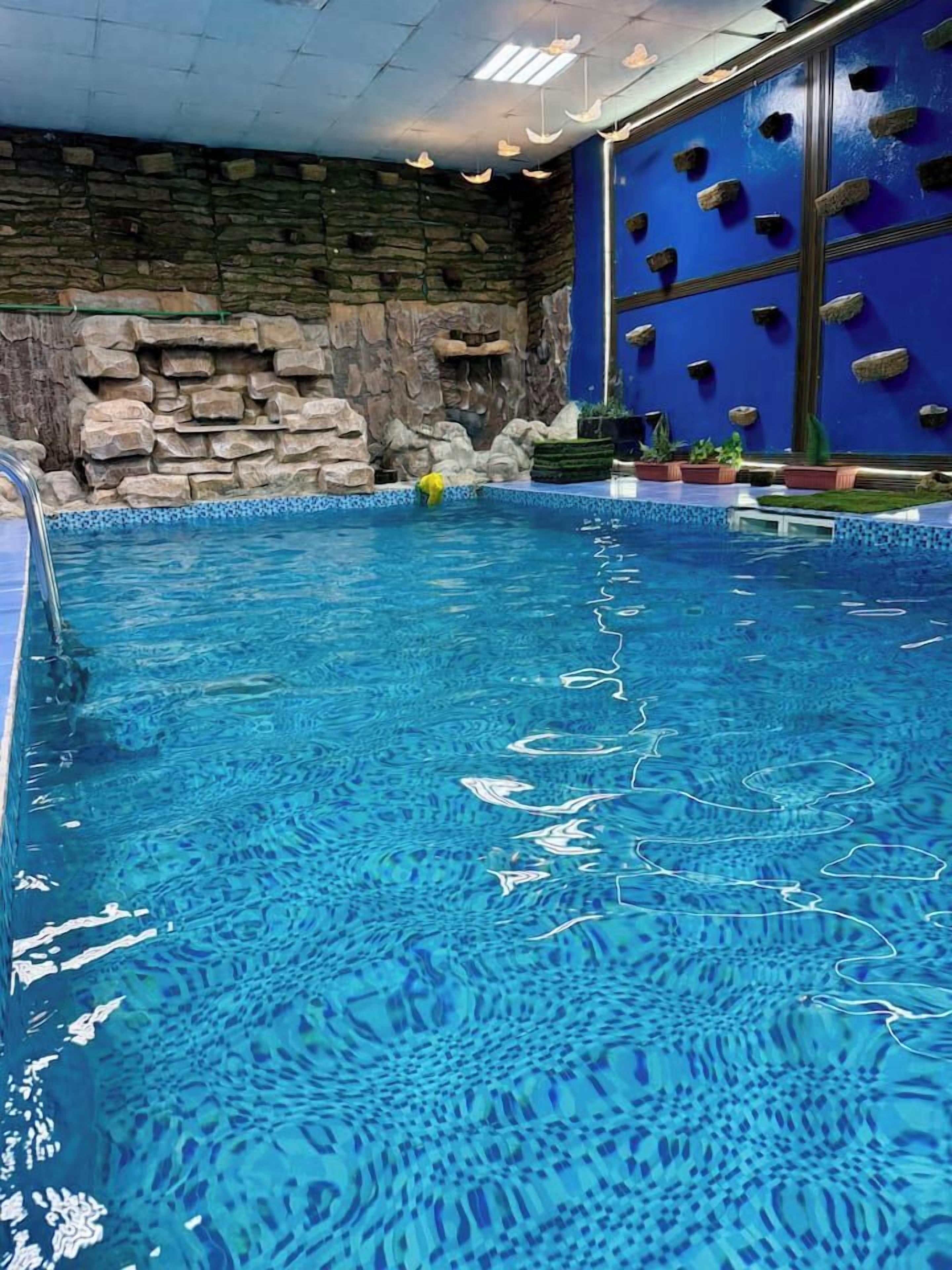 Una piscina interior d'aigua cristal·lina, una paret de pedra i una paret blava amb jardineres penjants.