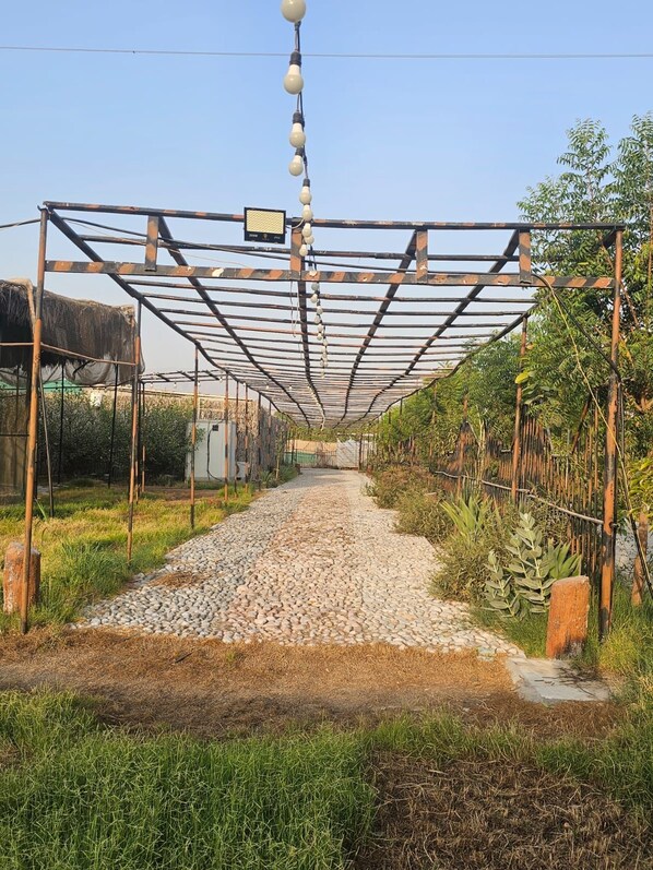 A pathway leading through a greenhouse structure with a metal frame and hanging lights.