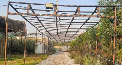 Lovely 4-bedroom farmhouse with AC in serene Ras Al-Khaimah