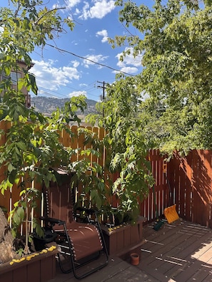 Une terrasse en bois avec une chaise pliante, une clôture en bois et un arbre.