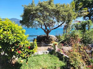 A coastal garden with a large tree, a stone pathway, and a view of the sea. - Our Birdhouse - Relax & Swim - Your Peaceful Getaway (San Pedro La Laguna)