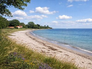 Ein Strand mit sandigem Ufer, blauem Himmel und einigen Häusern im Hintergrund.