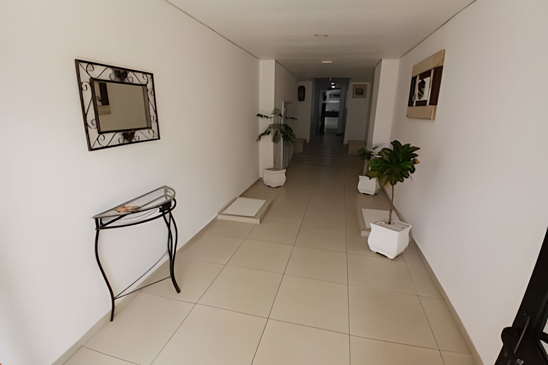 Um corredor com espelho, mesa consola, plantas em vasos e uma porta no final.