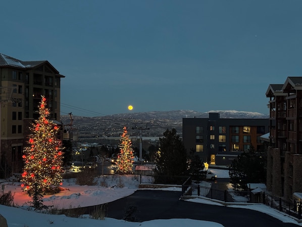 Área residencial com chão coberto de neve, duas árvores de Natal iluminadas e um edifício com várias janelas.