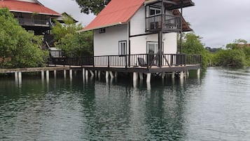 Une péniche dotée d’un balcon, située sur une étendue d’eau calme, entourée de verdure.