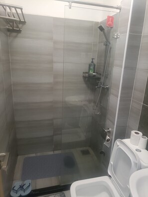 A glass-enclosed shower stall with a handheld showerhead, a soap dispenser, and a toilet with toilet paper. - Modern Makumbi Park Studio Near JKIA & SGR (Nairobi)