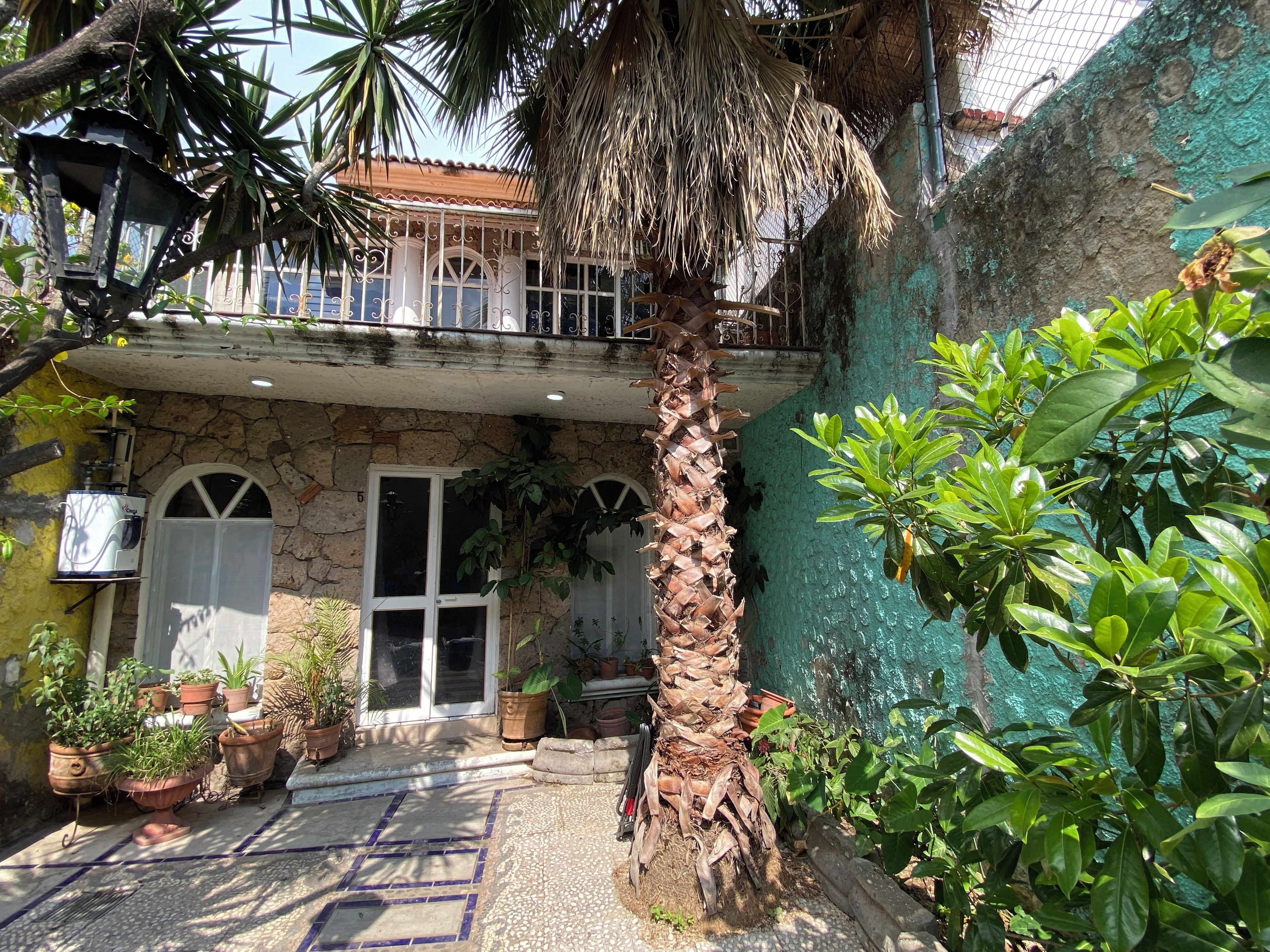 A courtyard with a palm tree, potted plants, a stone wall, and a building with a balcony.