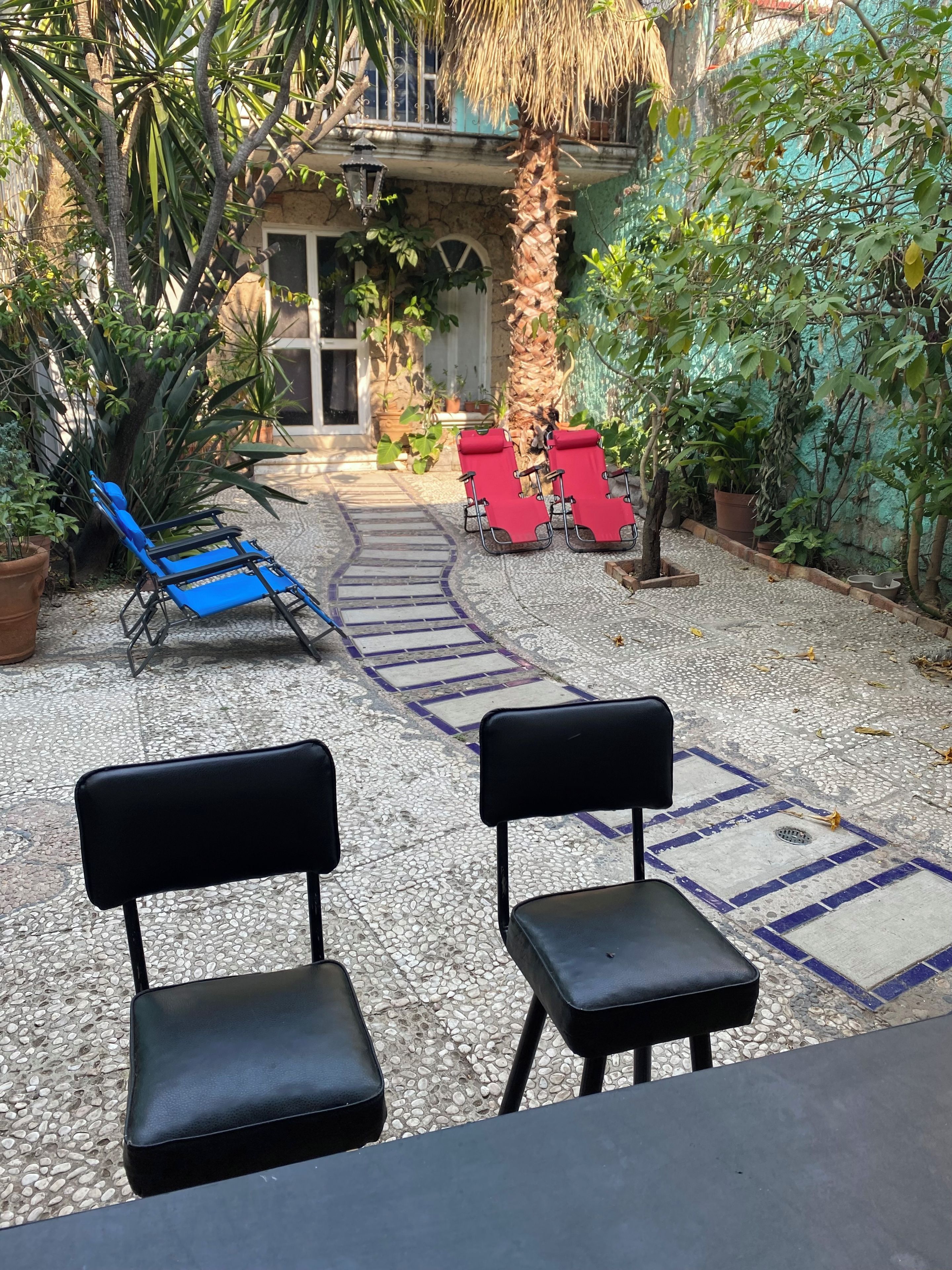 Un área de estar al aire libre con dos sillas negras, una azul y dos rojas. Se ve una palmera y varias plantas al fondo.