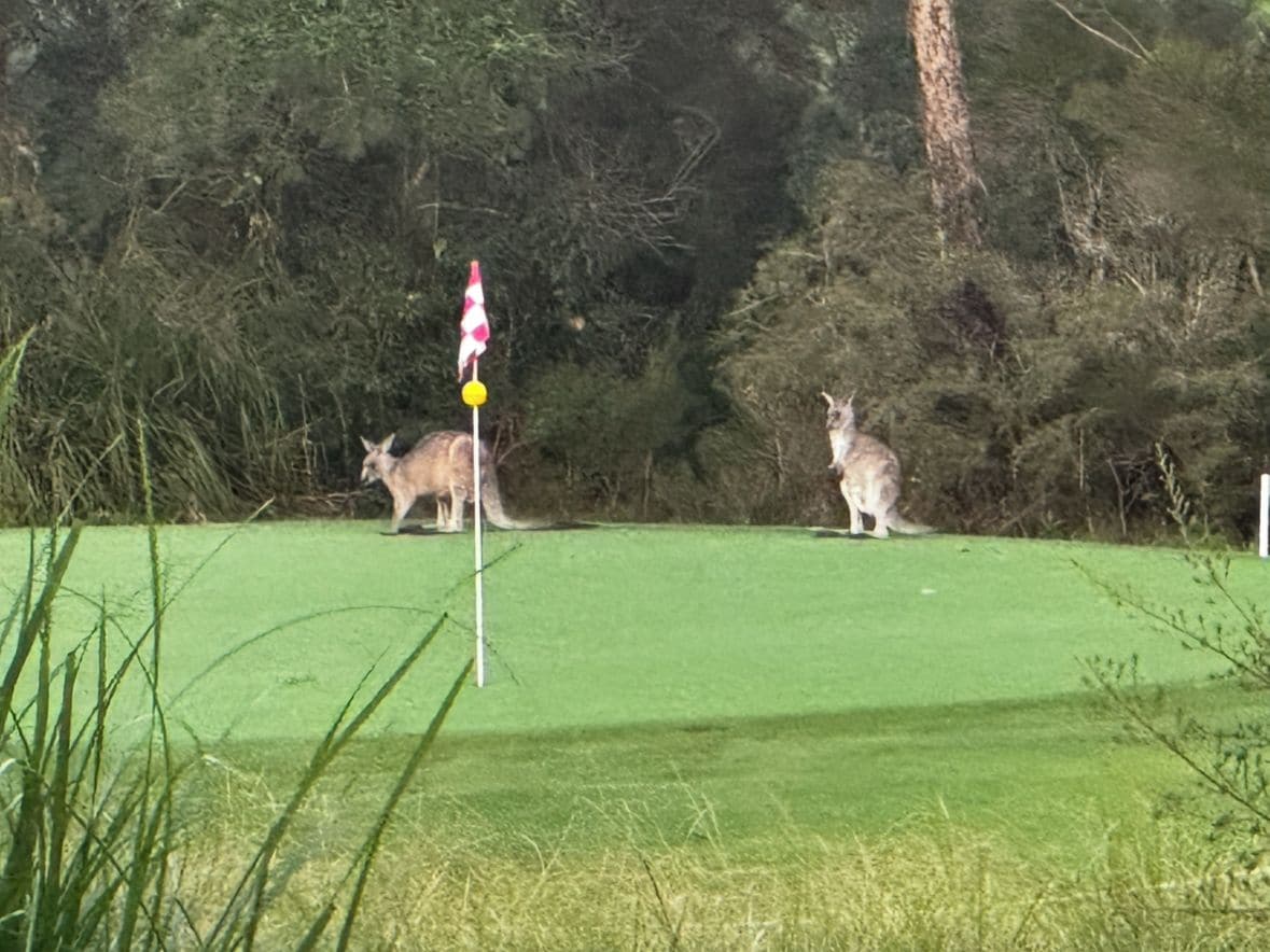 Golf