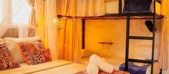 TRIBU HOSTAL