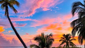 Una spiaggia con palme e un tramonto.