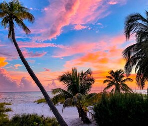 Una playa con palmeras y un atardecer.
