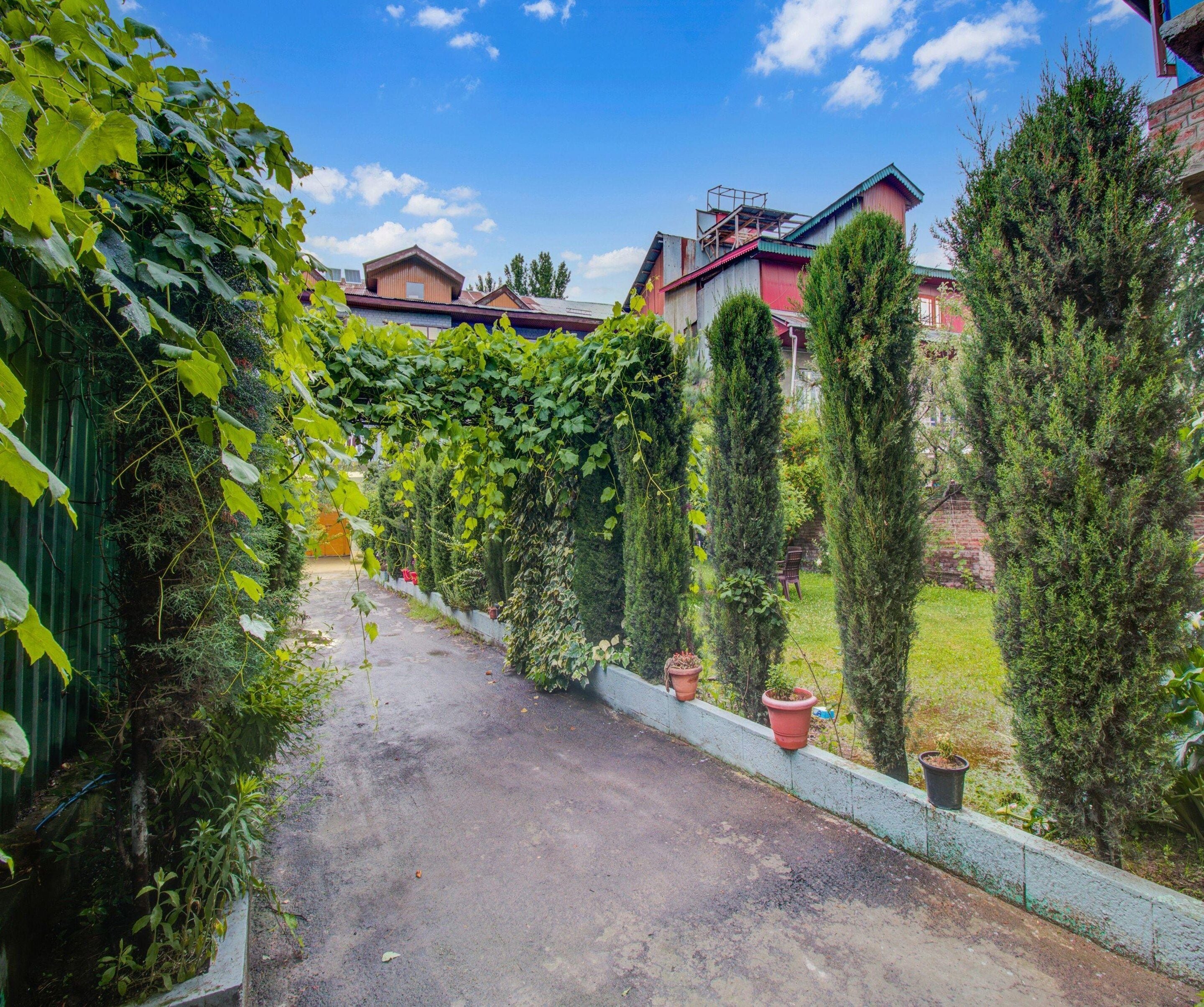 A pathway flanked by greenery and buildings.