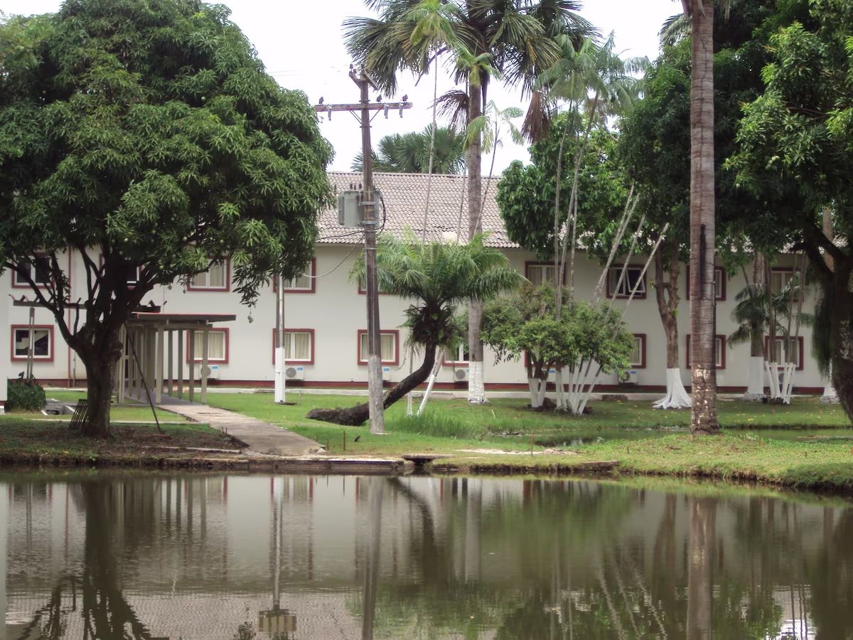 Um edifício com telhado de cerâmica, rodeado por um lago e palmeiras.