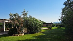 Un jardín con una pérgola, una construcción pequeña y un área con césped.