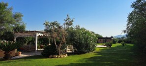 Een tuin met een pergola, een klein gebouwtje en een gazon.
