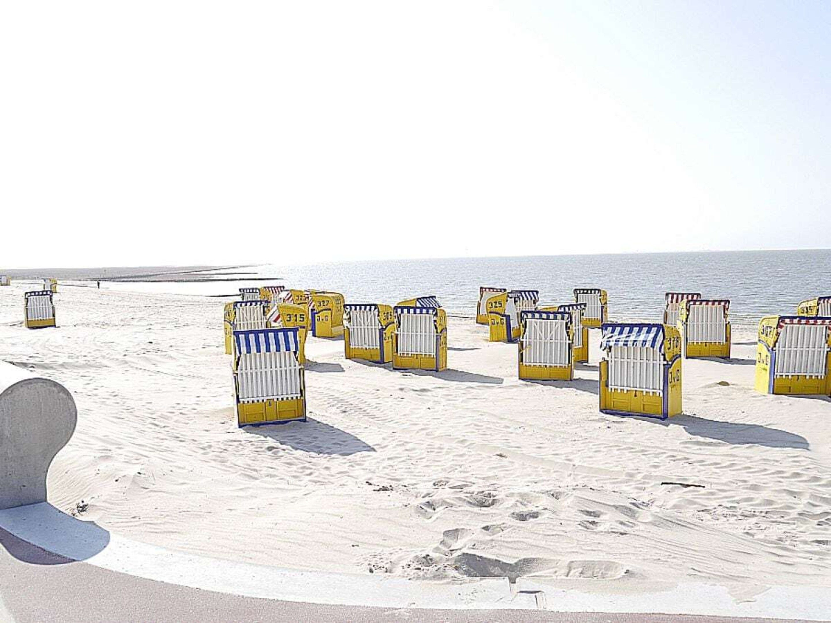 Una playa con sillas de playa amarillas y blancas dispuestas en filas.