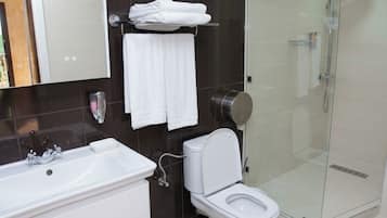 A modern bathroom with a glass-enclosed shower, a white toilet, and a sink with a soap dish.