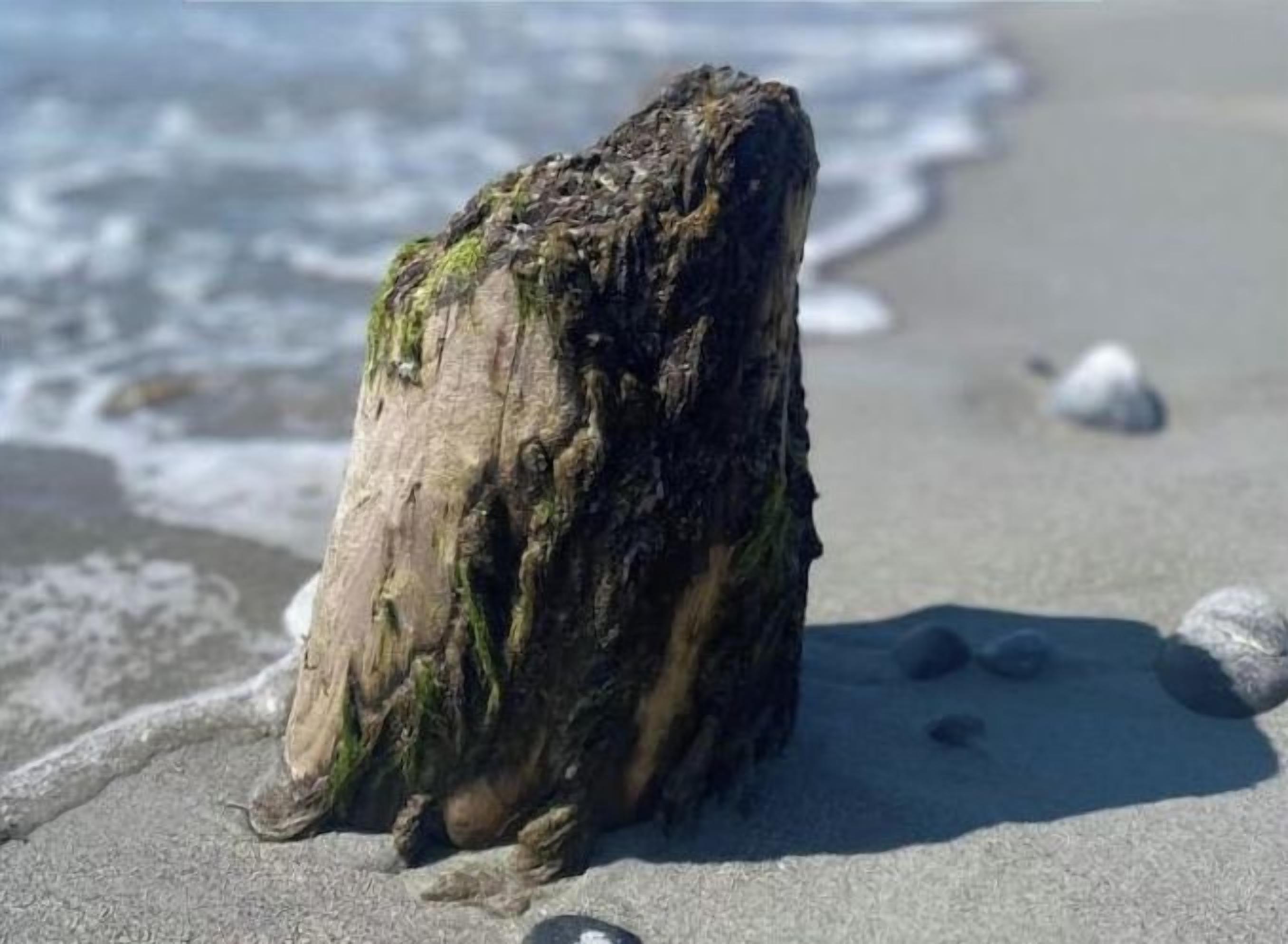 منوع