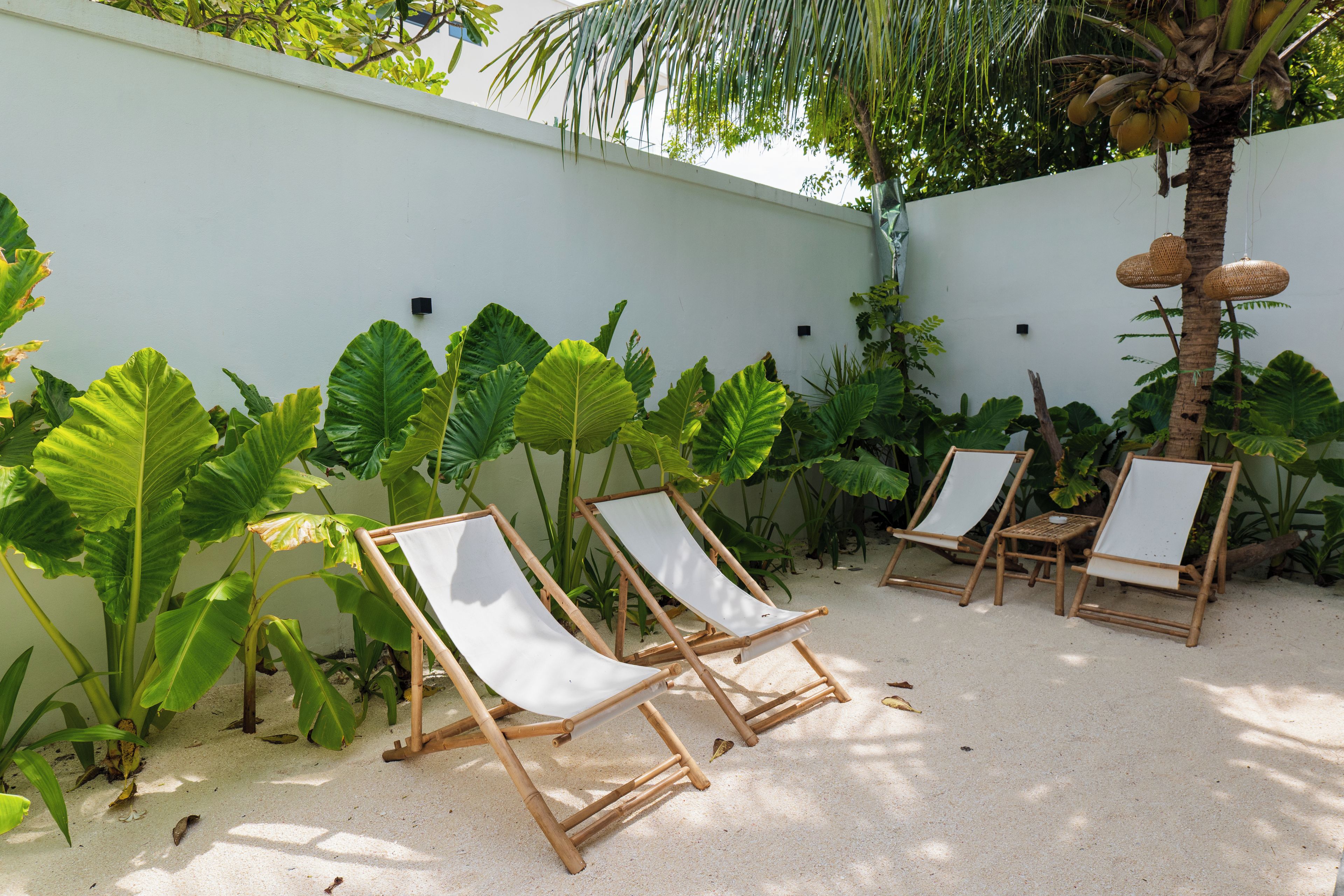 A tropical outdoor seating area with lounge chairs and large tropical plants.