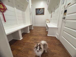 A hallway with benches and a dog.