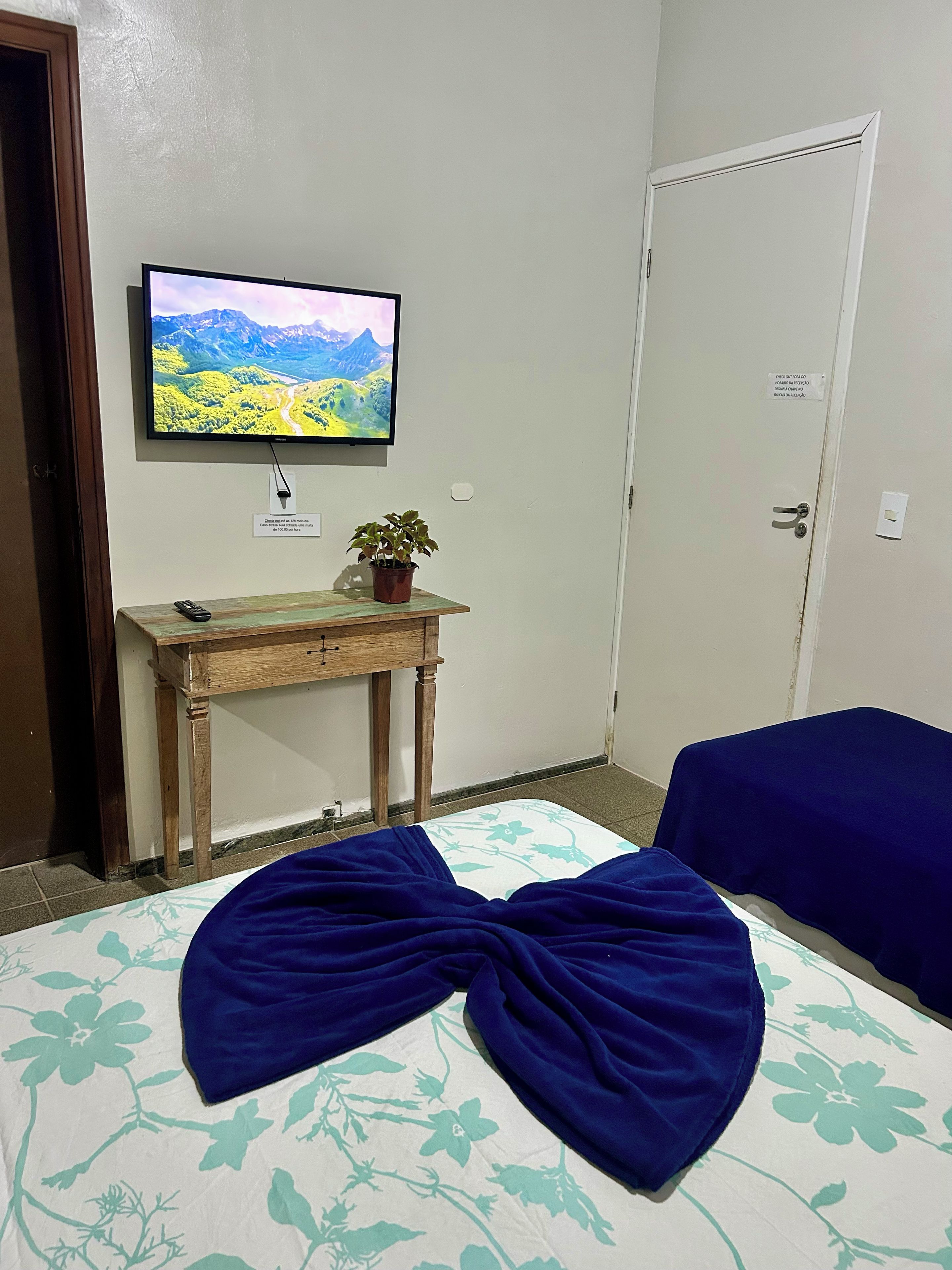A room with a bed, a television mounted on the wall, a small table with a plant, and a door with a sign.