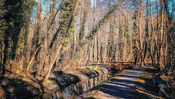 Zona boscosa con un sendero pavimentado y un puente de madera.